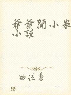 爷爷开小米的包小说