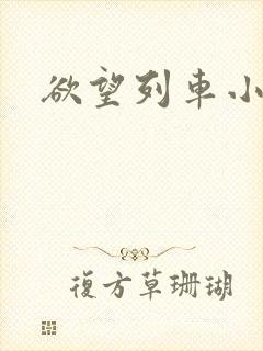 欲望列车小说