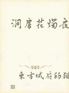 洞房花烛夜小说