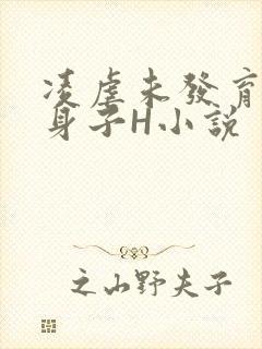 凌虐未发育的小身子H小说