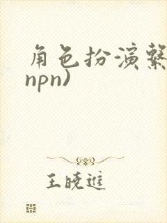 角色扮演系统(npn)