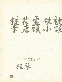 校花处破被灌满李老头小说