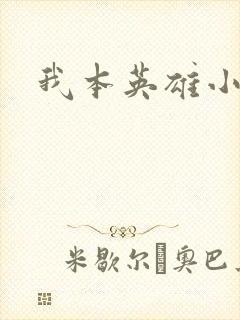 我本英雄小说