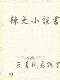 辣文小说书包网
