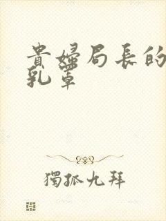 贵妇局长的蕾丝乳罩