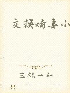 交换娇妻小说封面