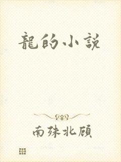 龙的小说