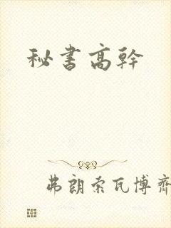 秘书高干