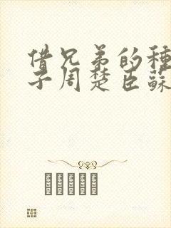 借兄弟的种生孩子周楚臣苏糖