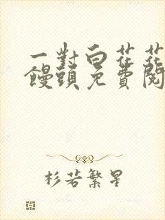 一对白花花的大馒头免费阅读