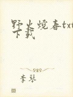 野火烧春txt下载
