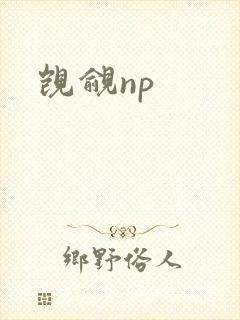 觊觎np