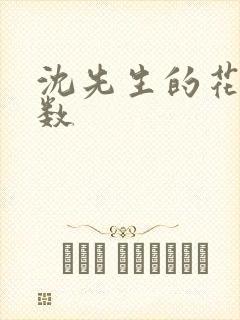 沈先生的花式调数