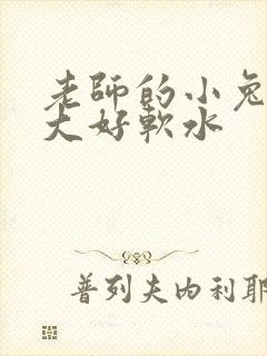 老师的小兔子好大好软水
