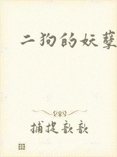 二狗的妖孽人生