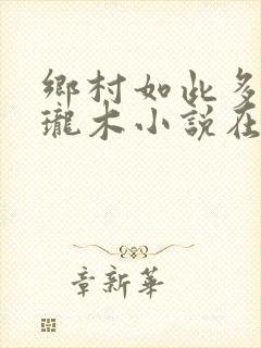 乡村如此多娇玲珑木小说在线阅读