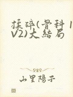 揉碎(骨科 1V2)大结局