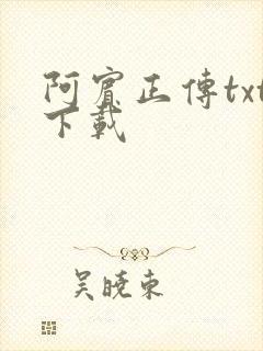 阿宾正传txt下载