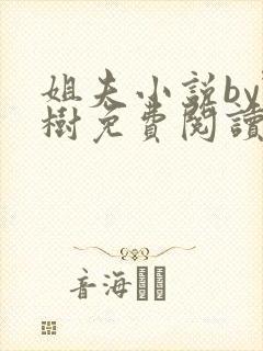 姐夫小说by野树免费阅读全文