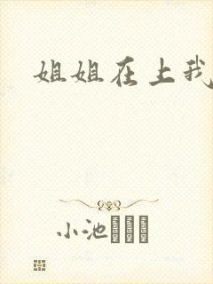 姐姐在上我在下