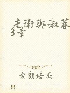 老卫与淑蓉第13章封面