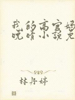 我的高官妈妈苏晚晴小说免费阅读