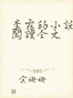 李霖的小说免费阅读全文