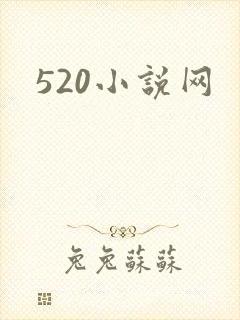 520小说网