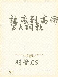 被脔到高潮的直男h调教