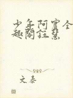 少年阿宾全文笔趣阁钰慧