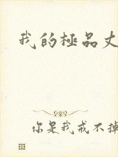 我的极品丈母娘封面