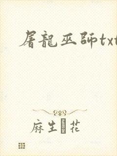 屠龙巫师txt