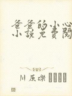爸爸的小心肝儿小说免费阅读
