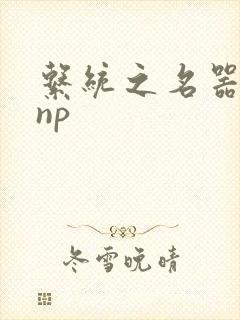 系统之名器攻略np