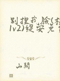 别捏我脸(校园1v2)缇安免费阅读