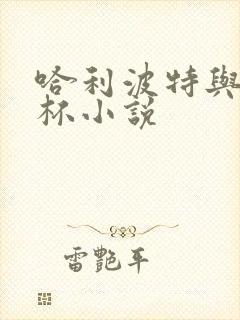 哈利波特与火焰杯小说