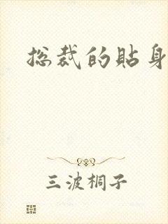 总裁的贴身女佣封面