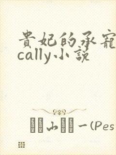 贵妃的承宠日常cally小说