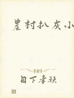 《农村扒灰小说》小说封面