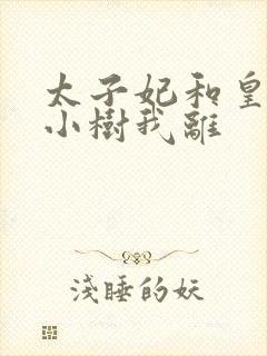 《太子妃和皇上在小树我离》小说封面