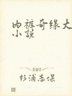 内裤奇缘大团结小说