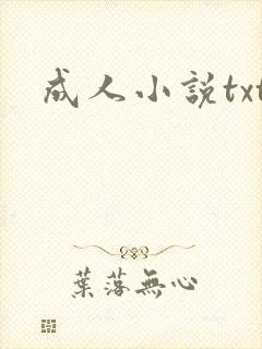 成人小说txt