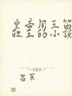 皇帝用玉笛整摄政王的小说