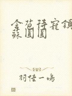 含苞待宠镇国公苏圆圆