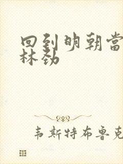 回到明朝当王爷林劲