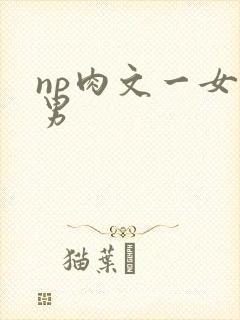 np肉文一女多男