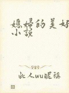 媳妇的美好时代小说