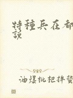 特种兵在都市小说