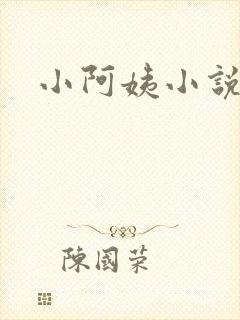 小阿姨小说