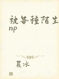 被各种陌生人 np